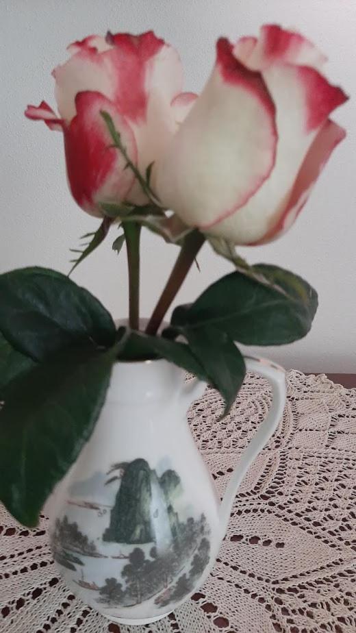 U Mna Doma Daire Lucatin Dış mekan fotoğraf